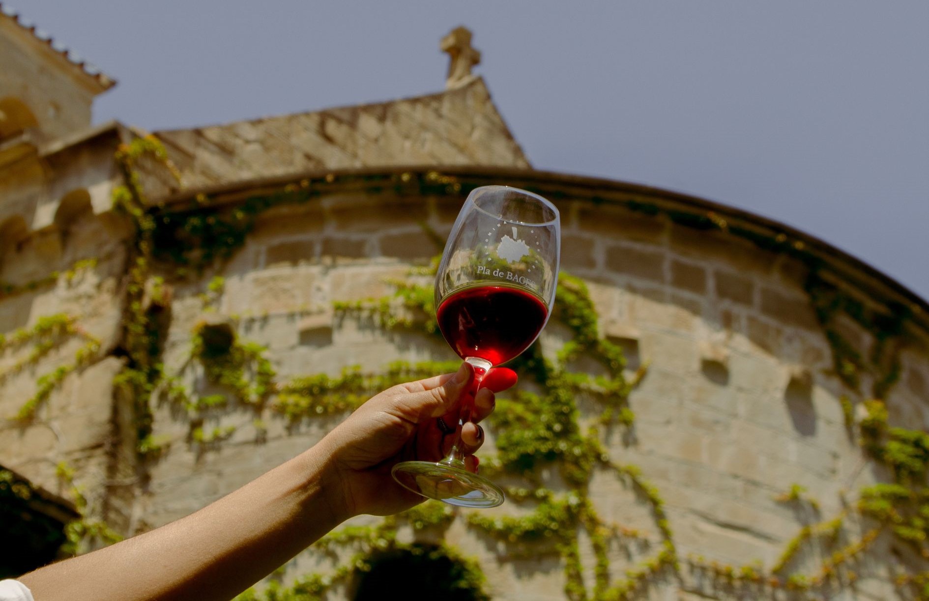 30 anys de la DO Pla de Bages