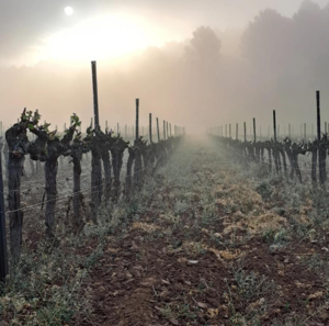 Juan de Dios autor de la fotografia guanyadora