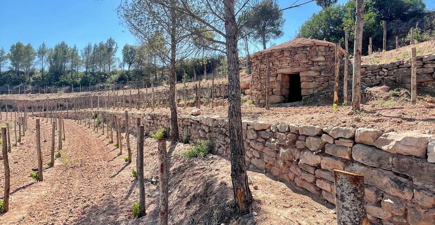 Jornada arquitectura de la pedra seca: llegat, tècnica i futur